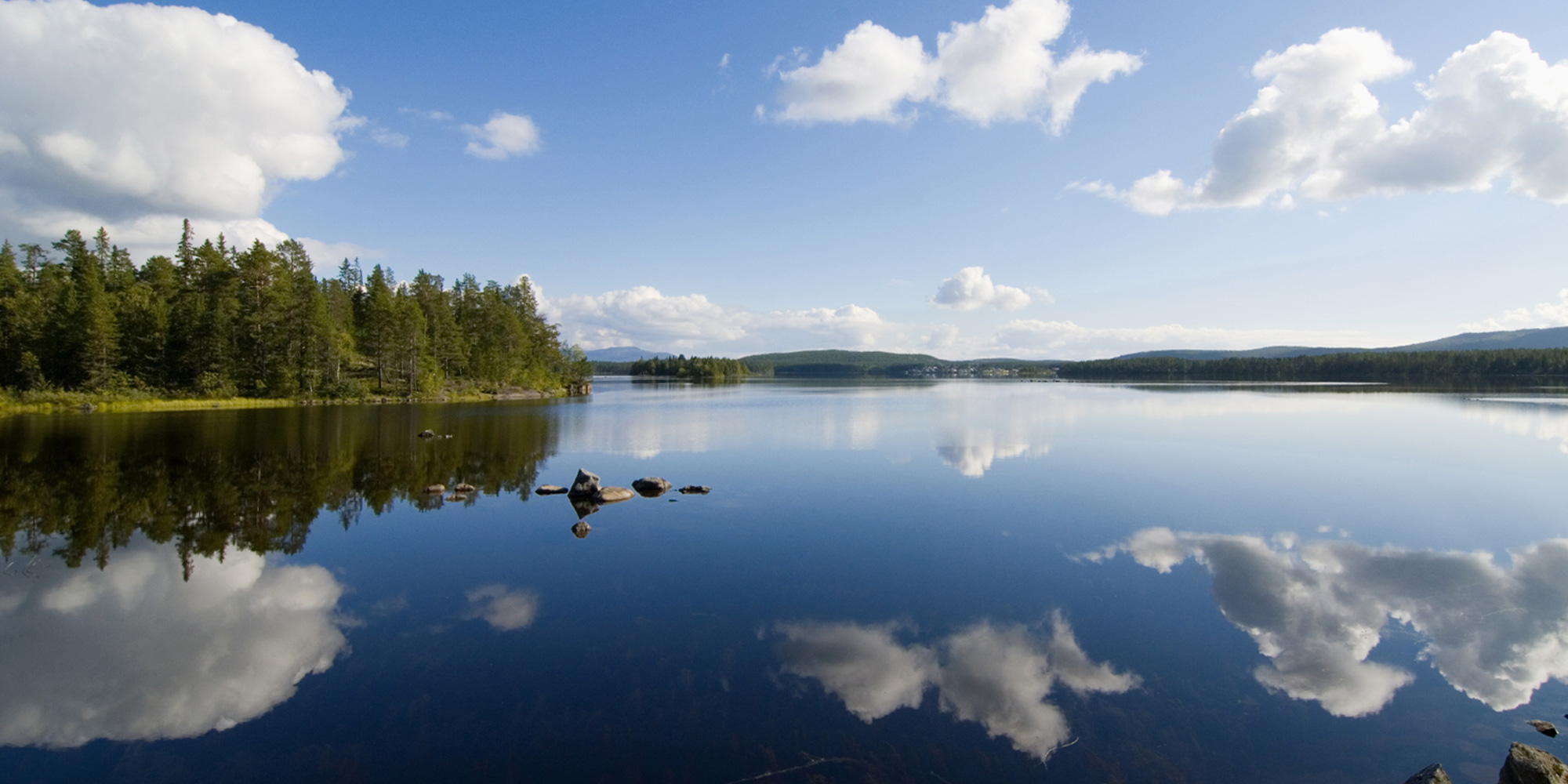 Construction de maison bois