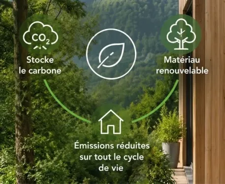La construction en bois massif : un bilan carbone 